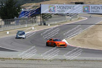 media/May-18-2025-Speed Ventures (Sun) [[b6e29aef7d]]/Green/Session 2 (Turn 5)/
